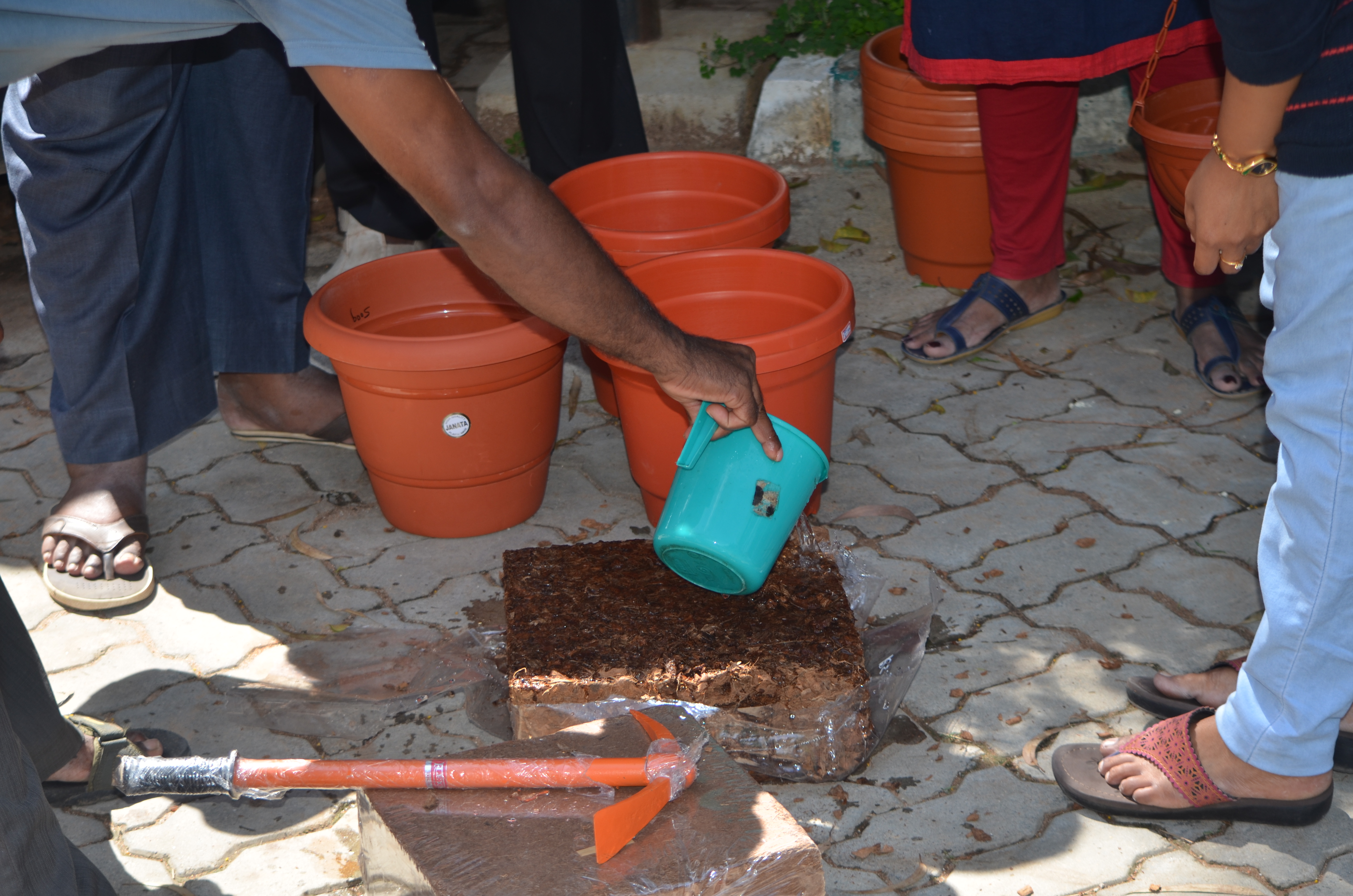 Terrace Gardening Workshop